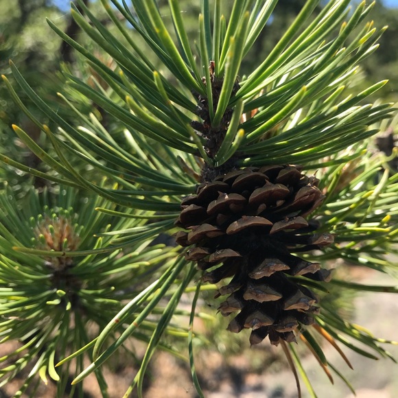 Meet The Posher - Picture 4 of 7